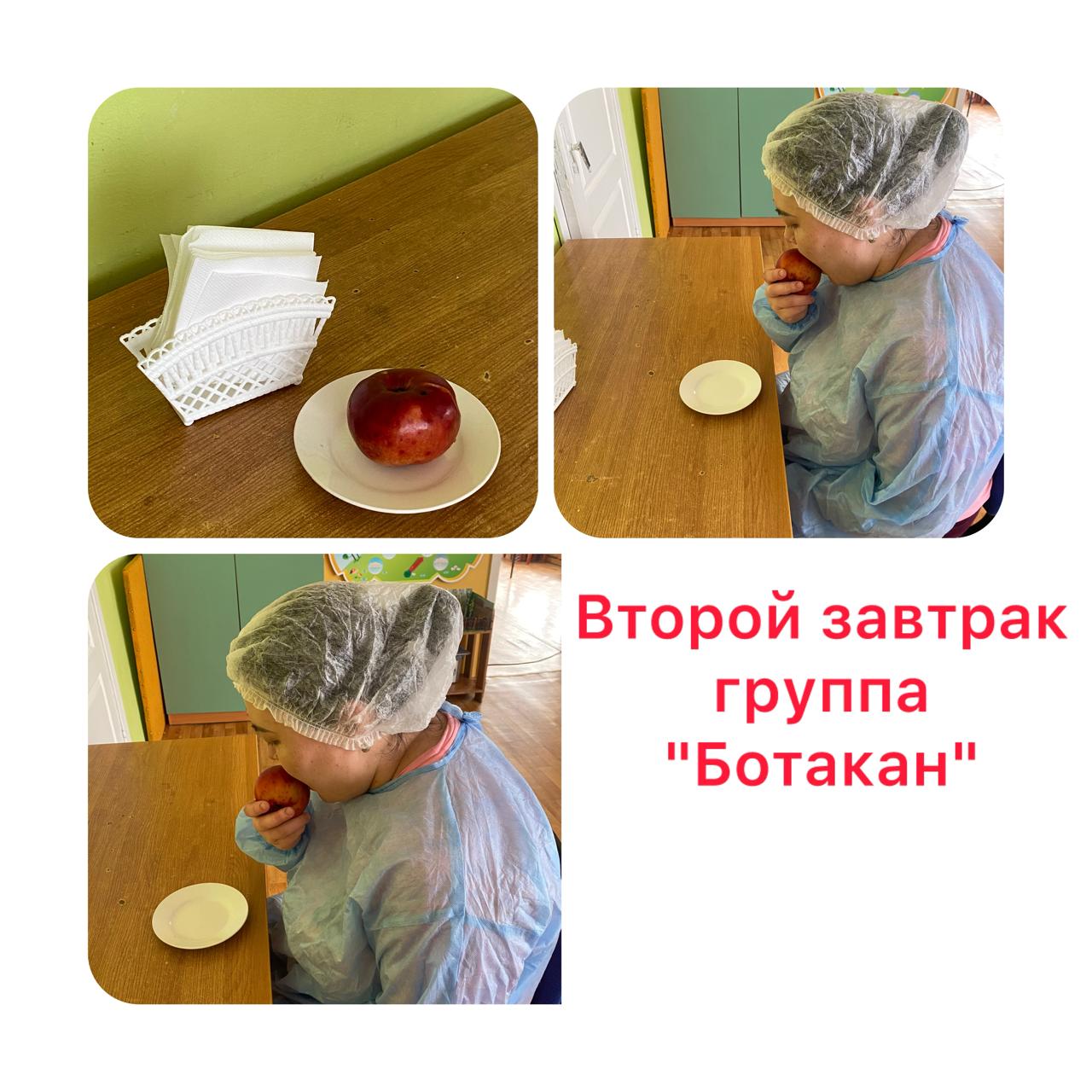 Екінші таңғы асқа ата-аналар тарапынан органолептикалық бағалау . Органолептическая оценка второго завтрака родителями.